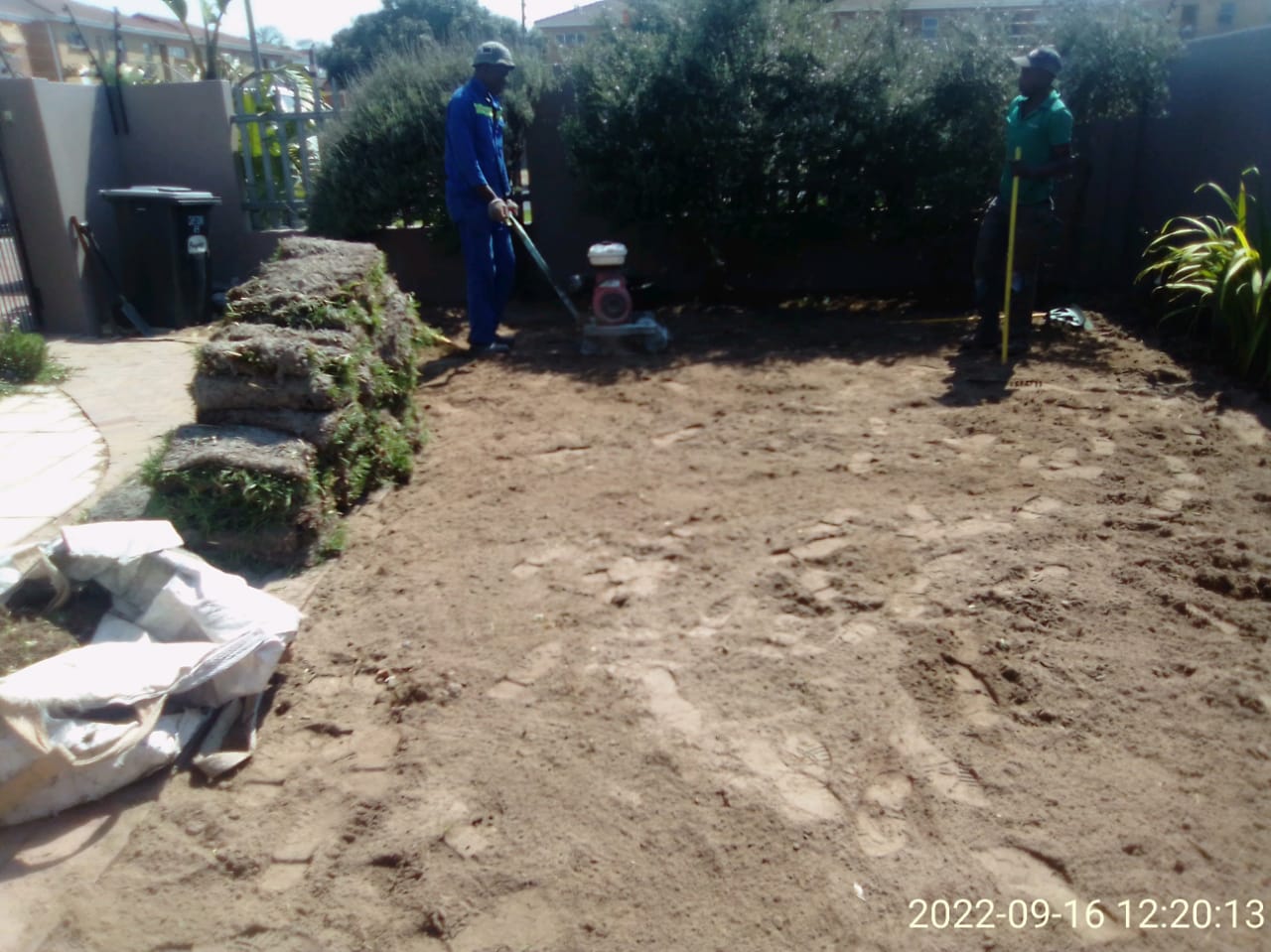 Lawn_0010