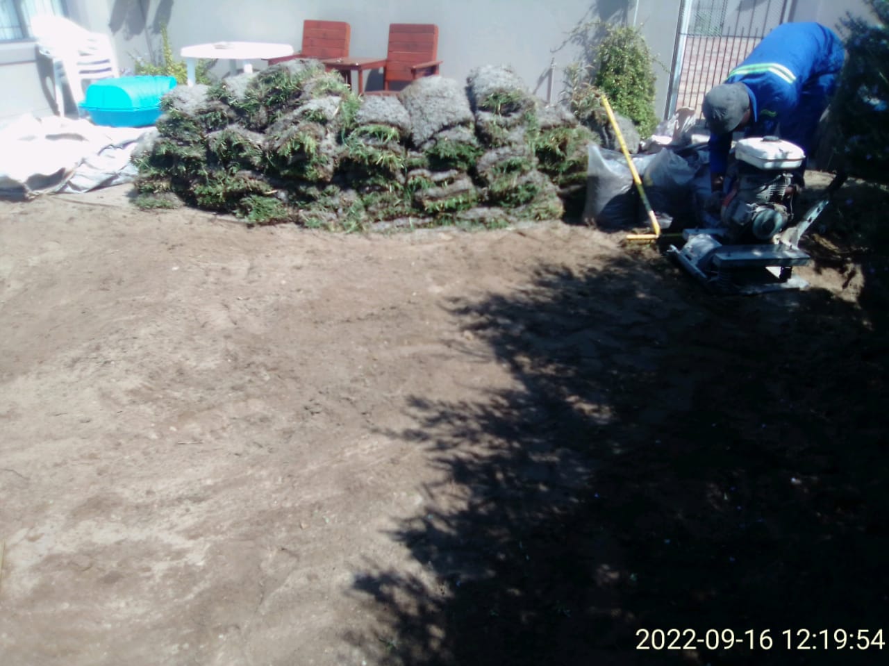 Lawn_0011