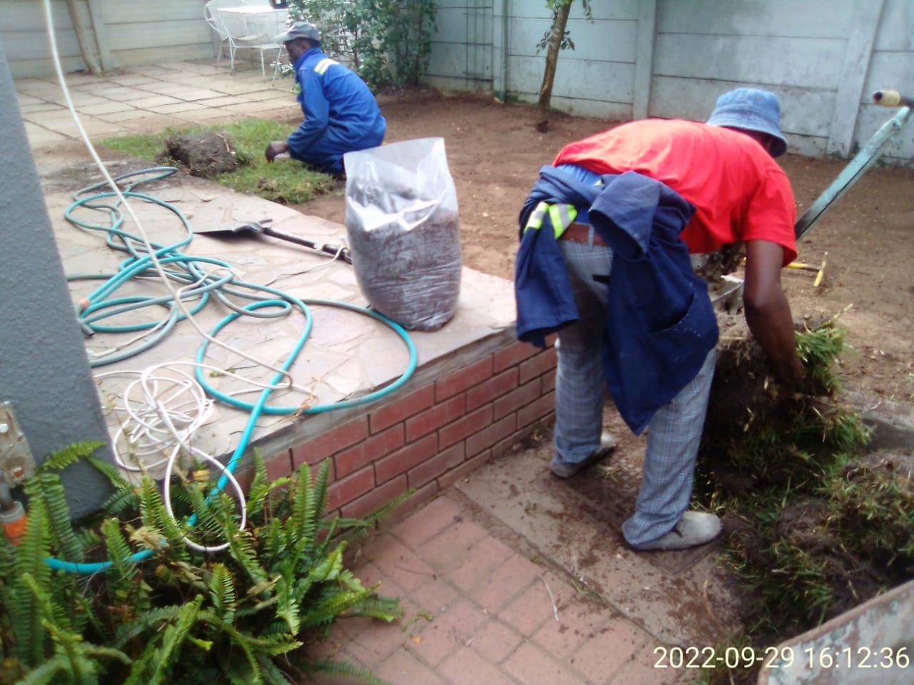 Lawn_0012