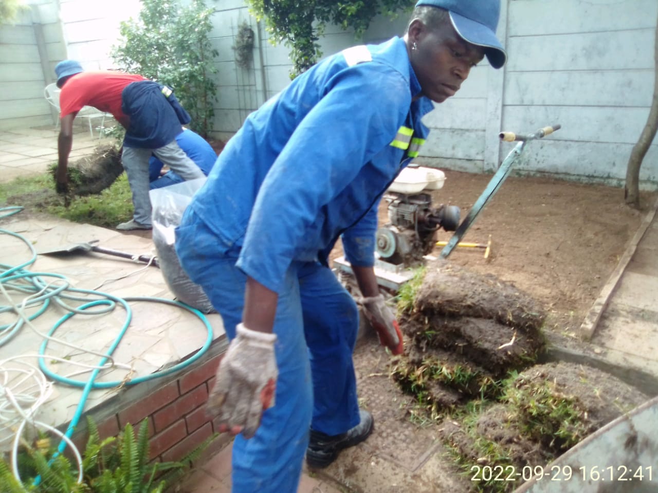 Lawn_0013