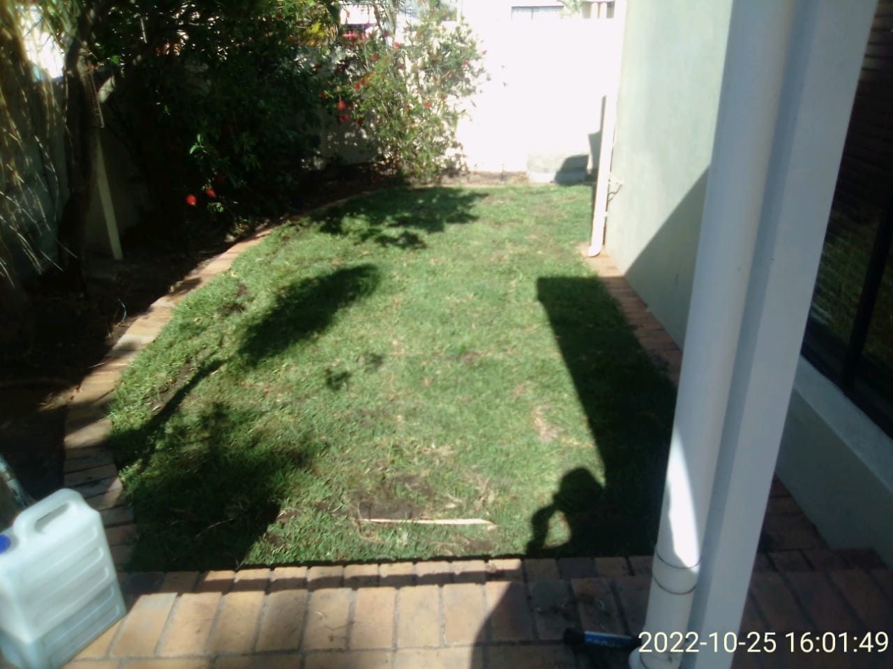 Lawn_0014