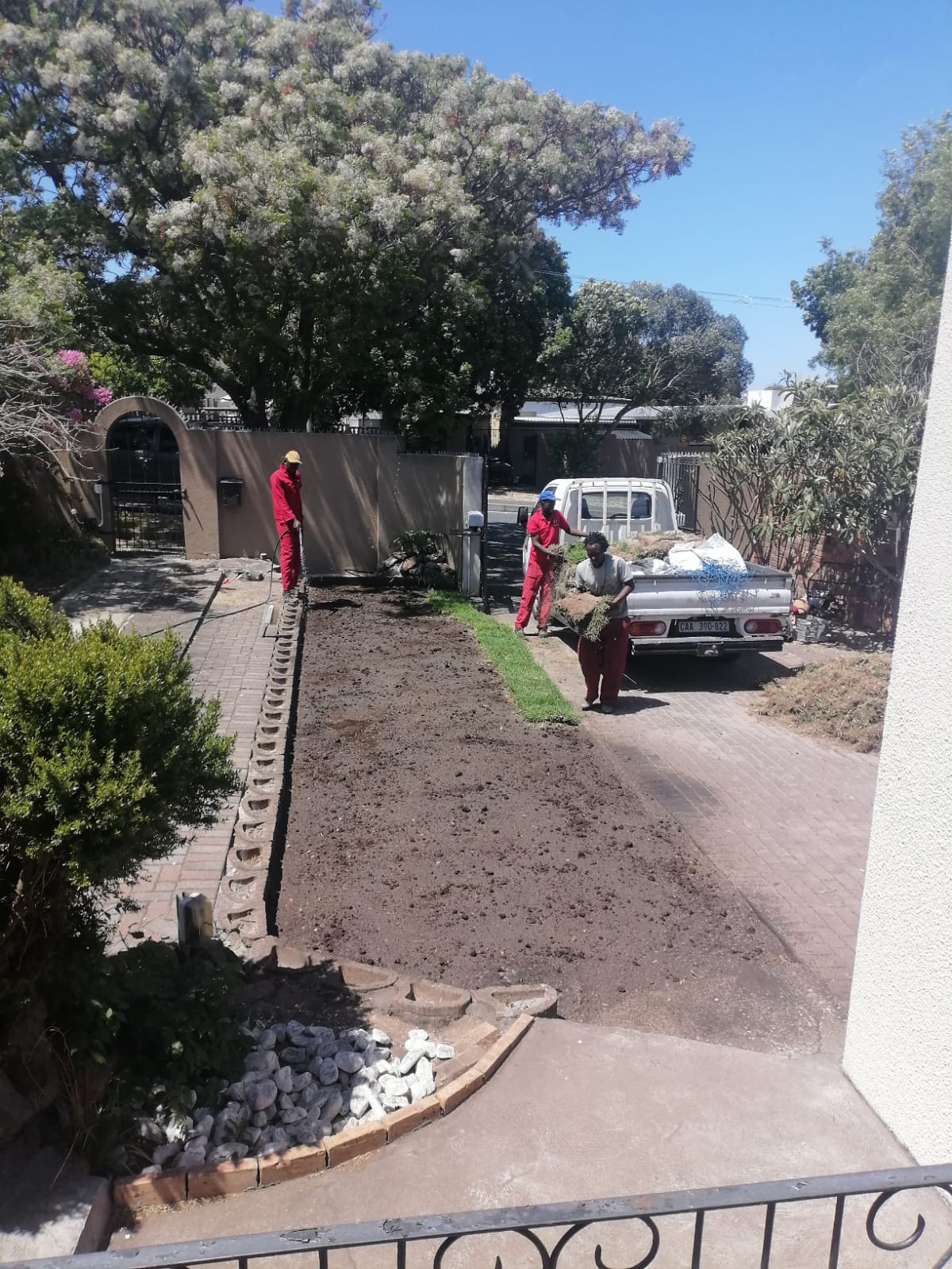 Lawn_0016