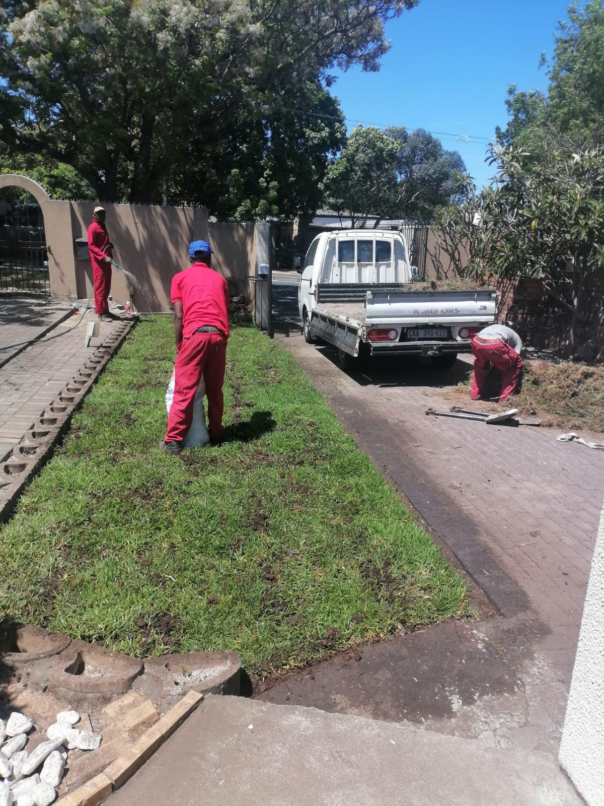 Lawn_0017