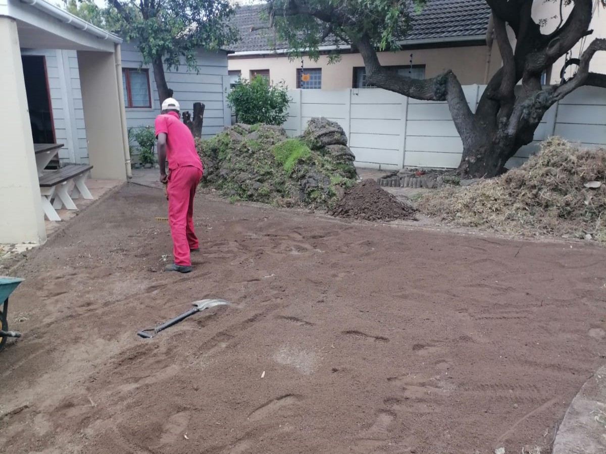 Lawn_0018