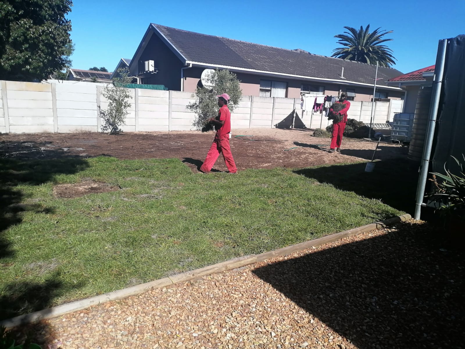 Lawn_0020