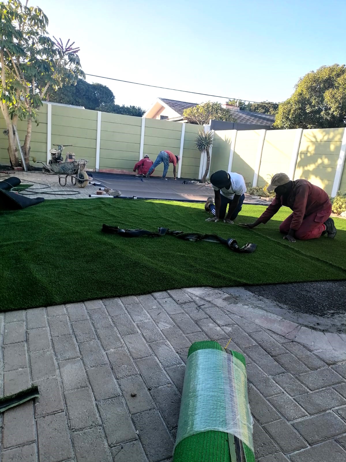 Lawn_0021