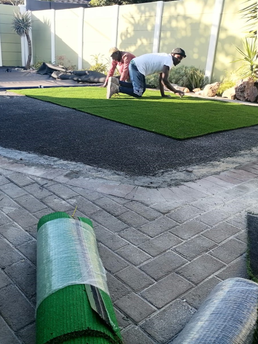 Lawn_0022
