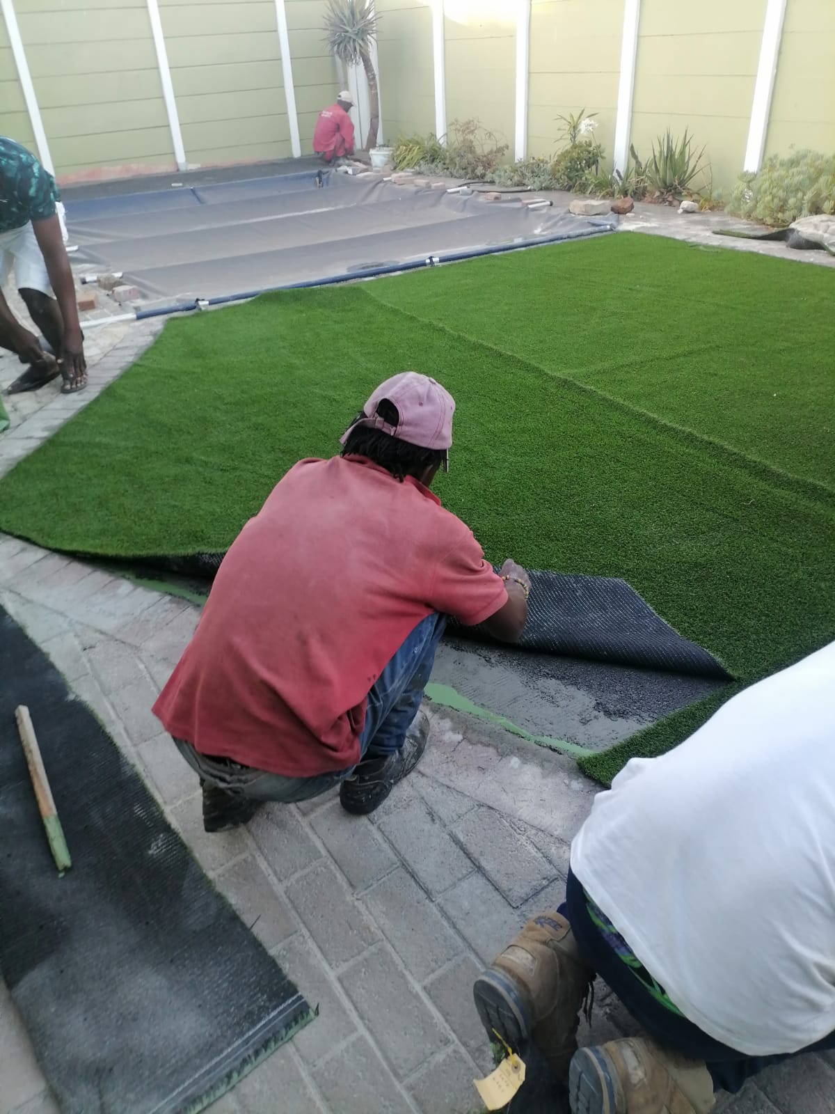 Lawn_0023