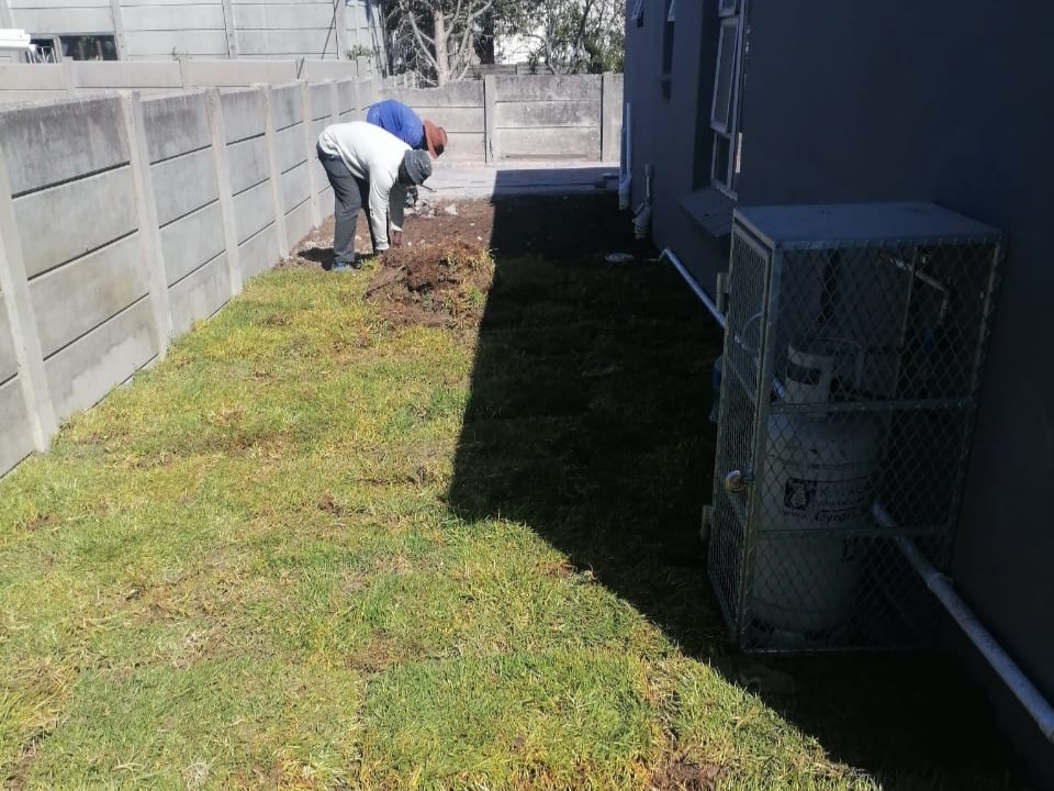 Lawn_0024