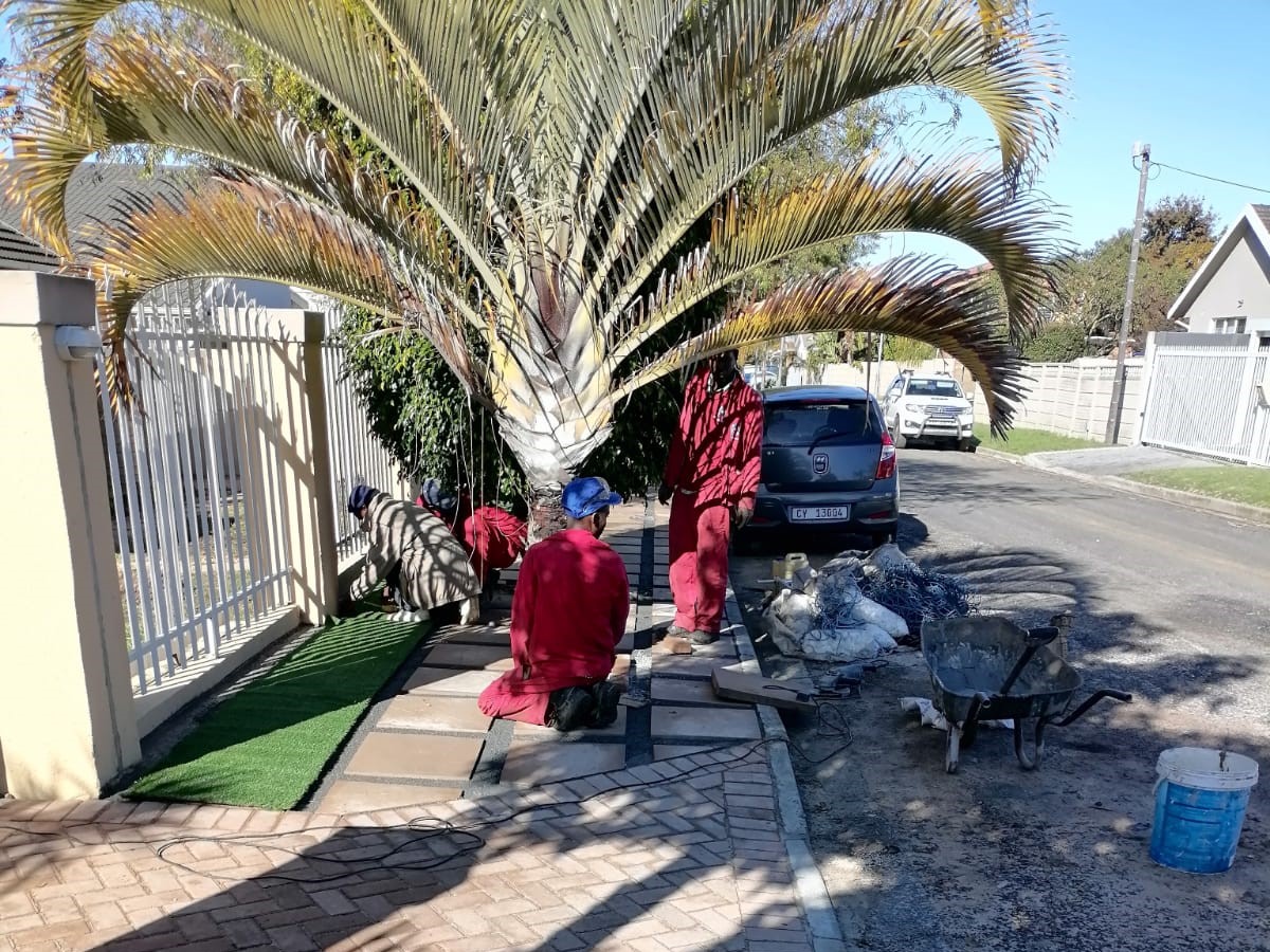 Paving_0055