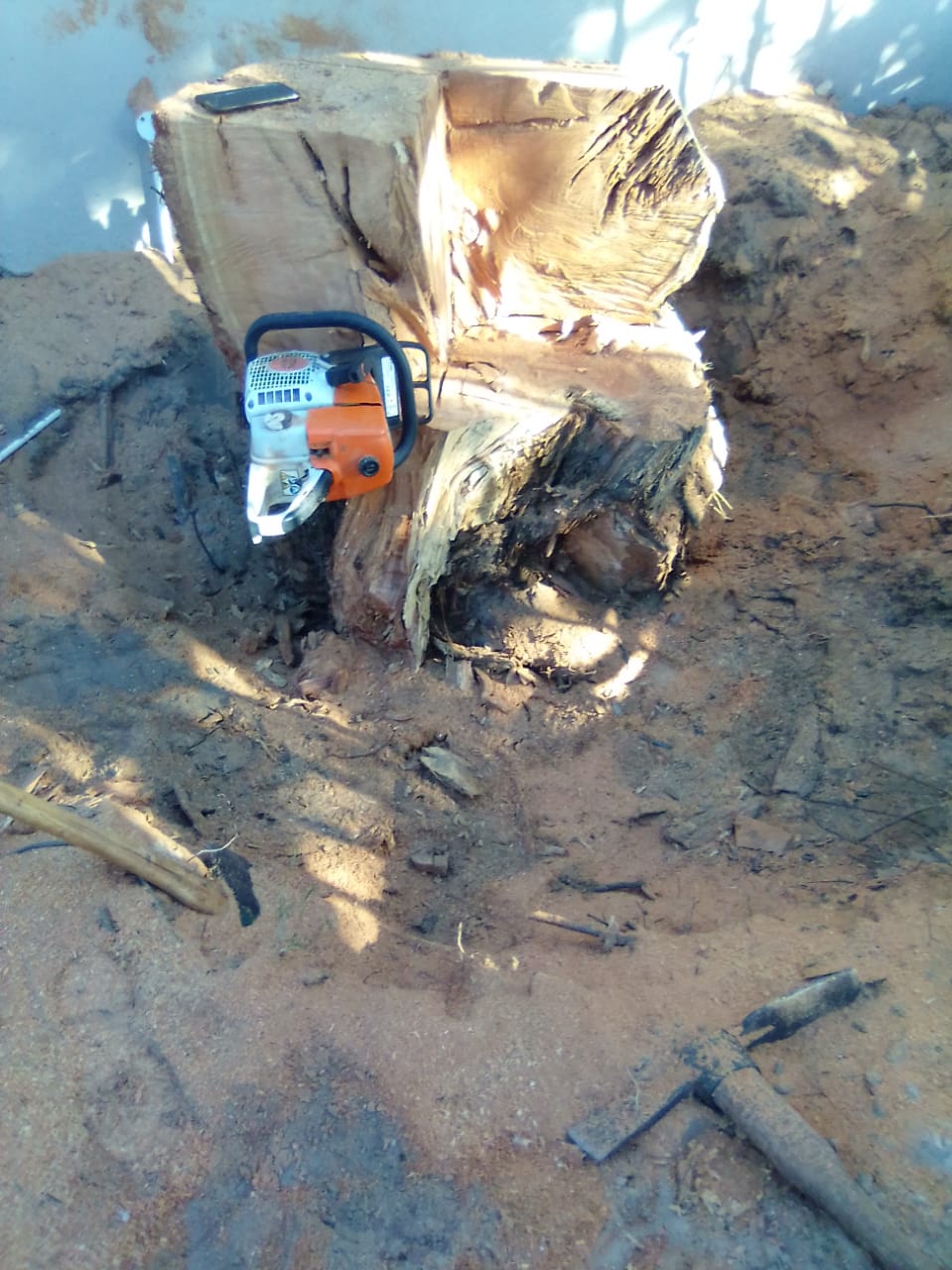 Stump_0014