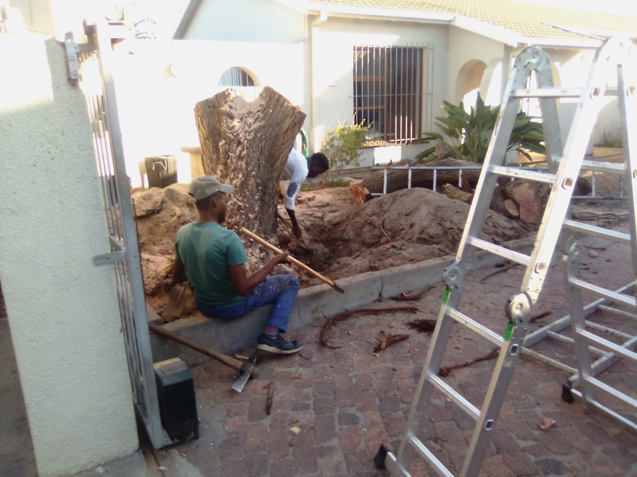 Stump_0016