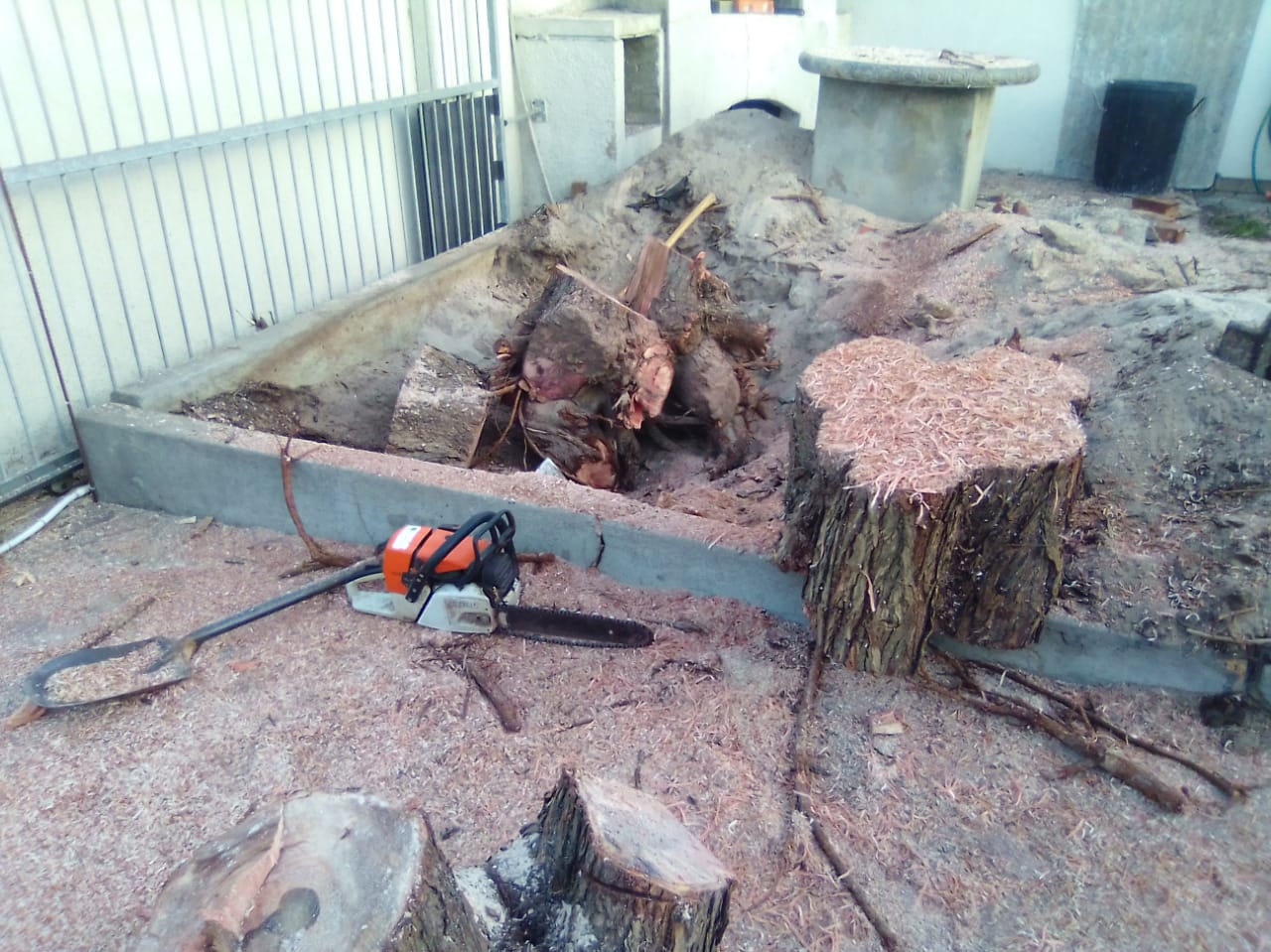 Stump_0017