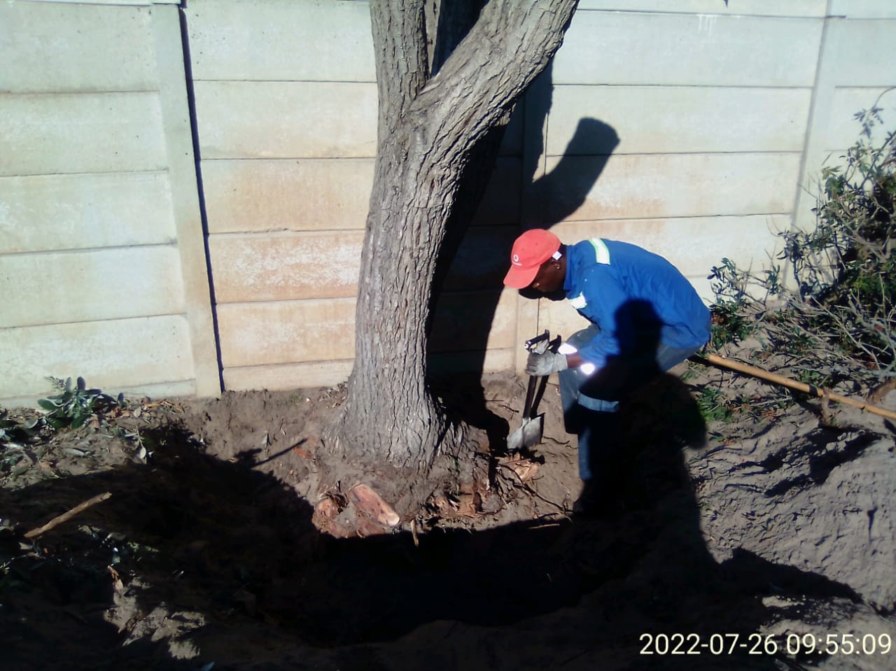 Stump_0018