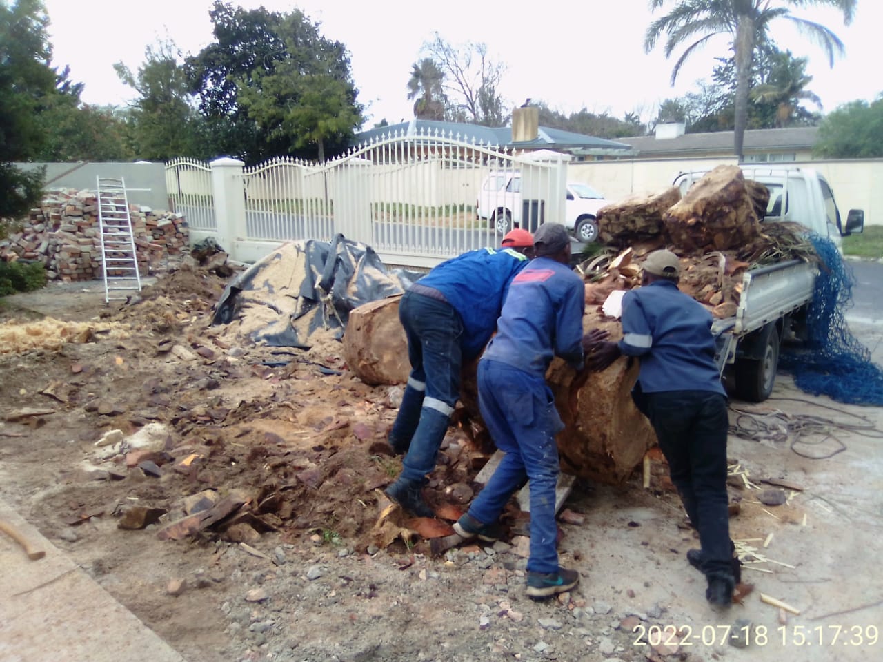 Stump_0019