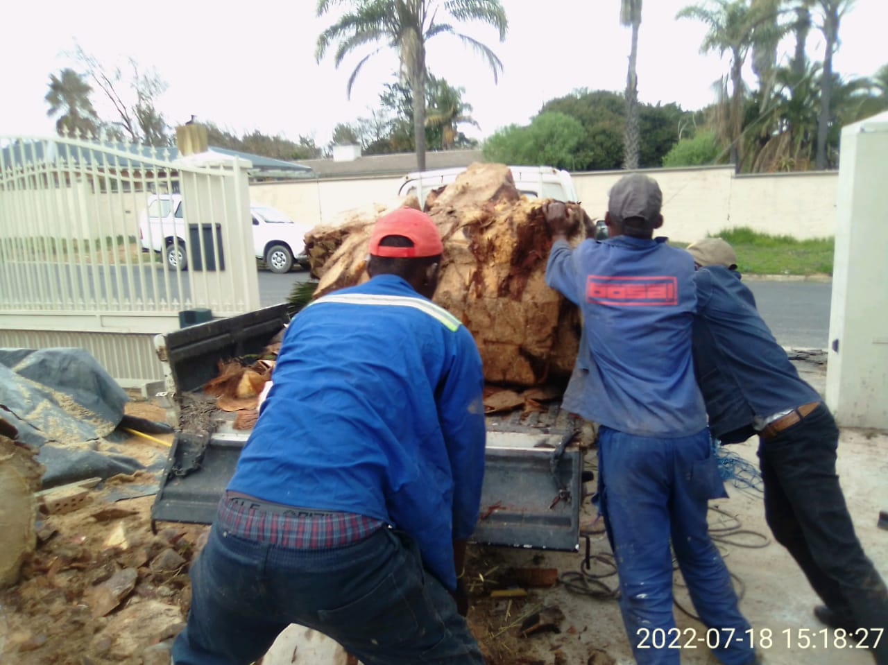 Stump_0020