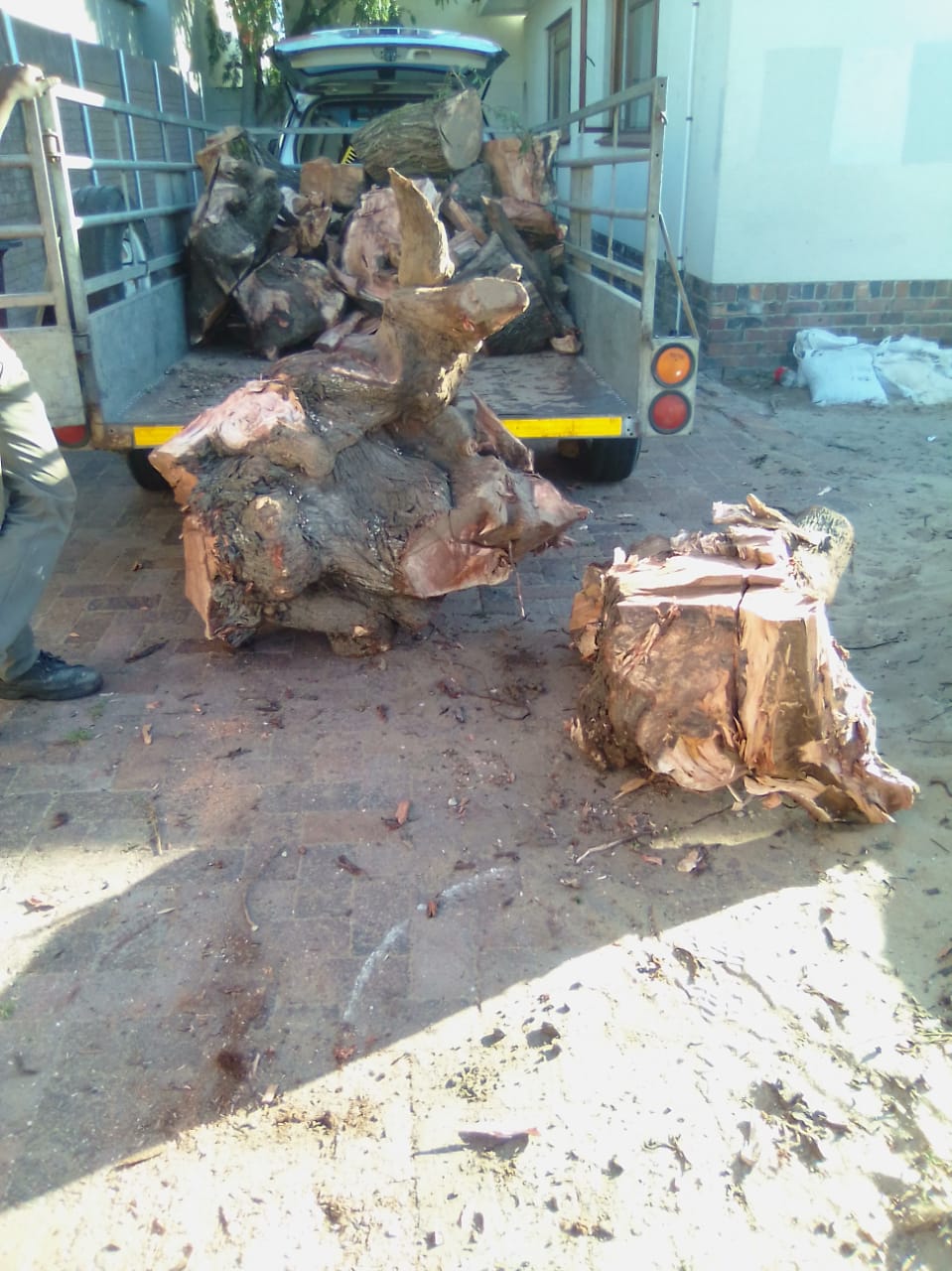 Stump_0038