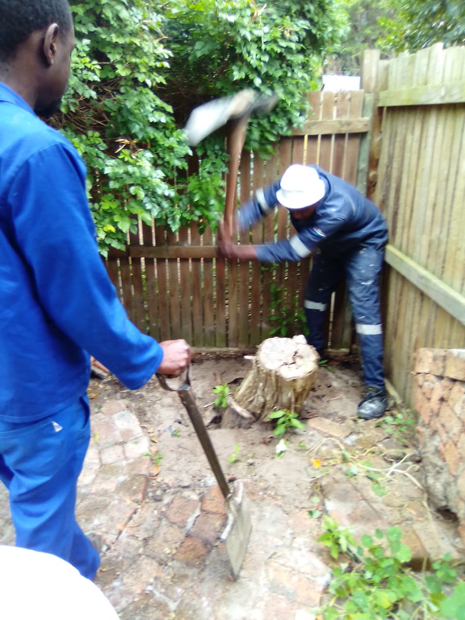 Stump_0040