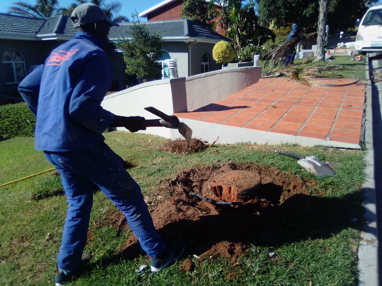 Stump_0043