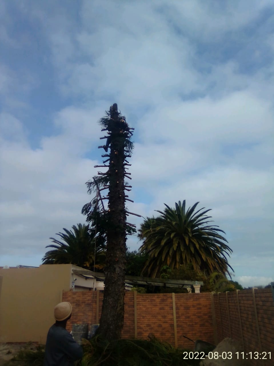 Trimming_0021