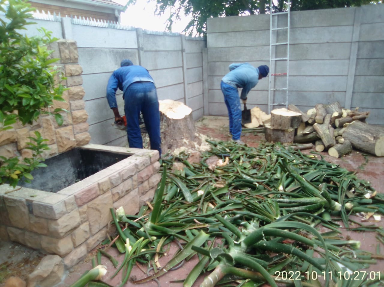 Trimming_0026
