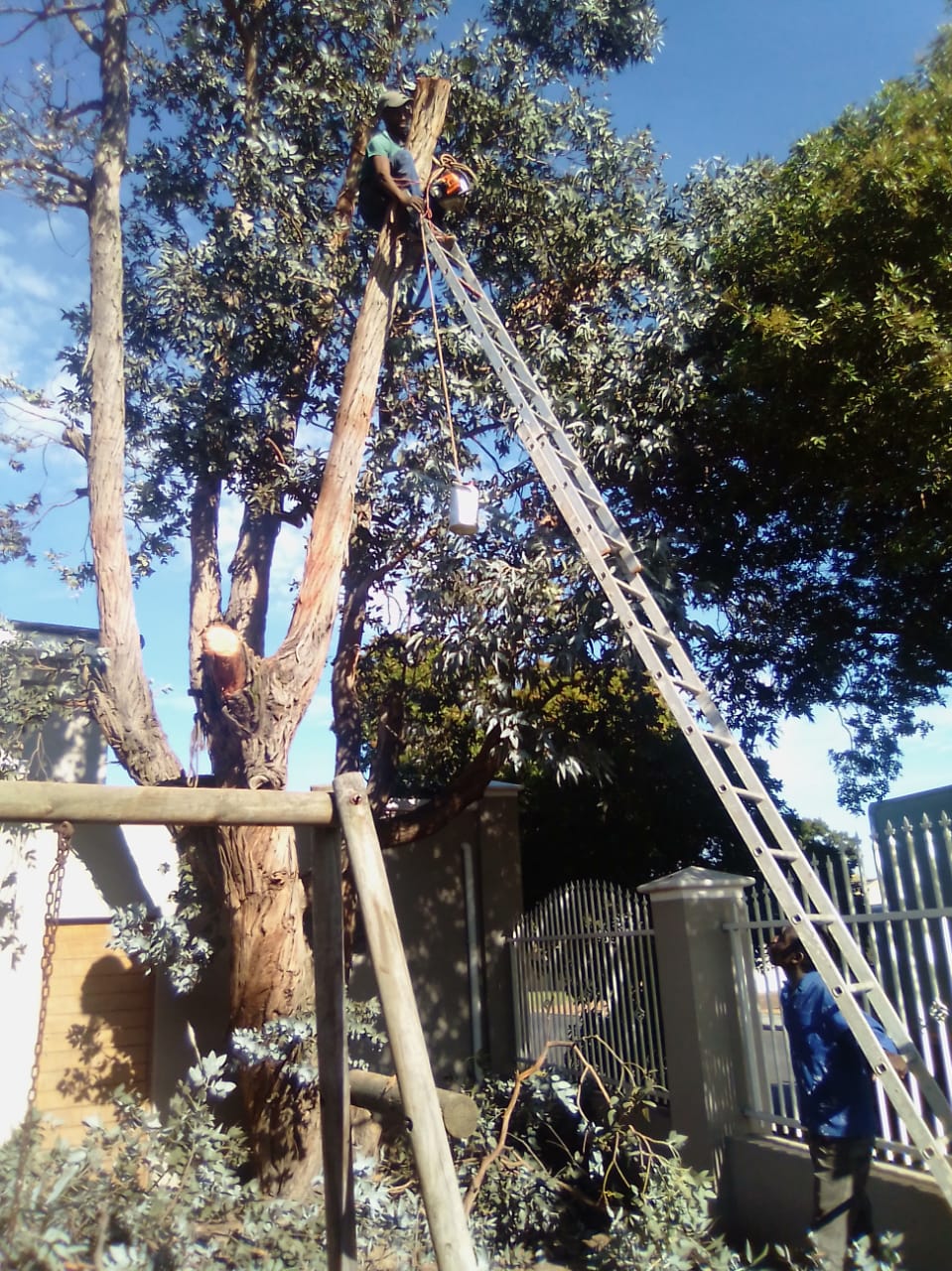 Trimming_0030