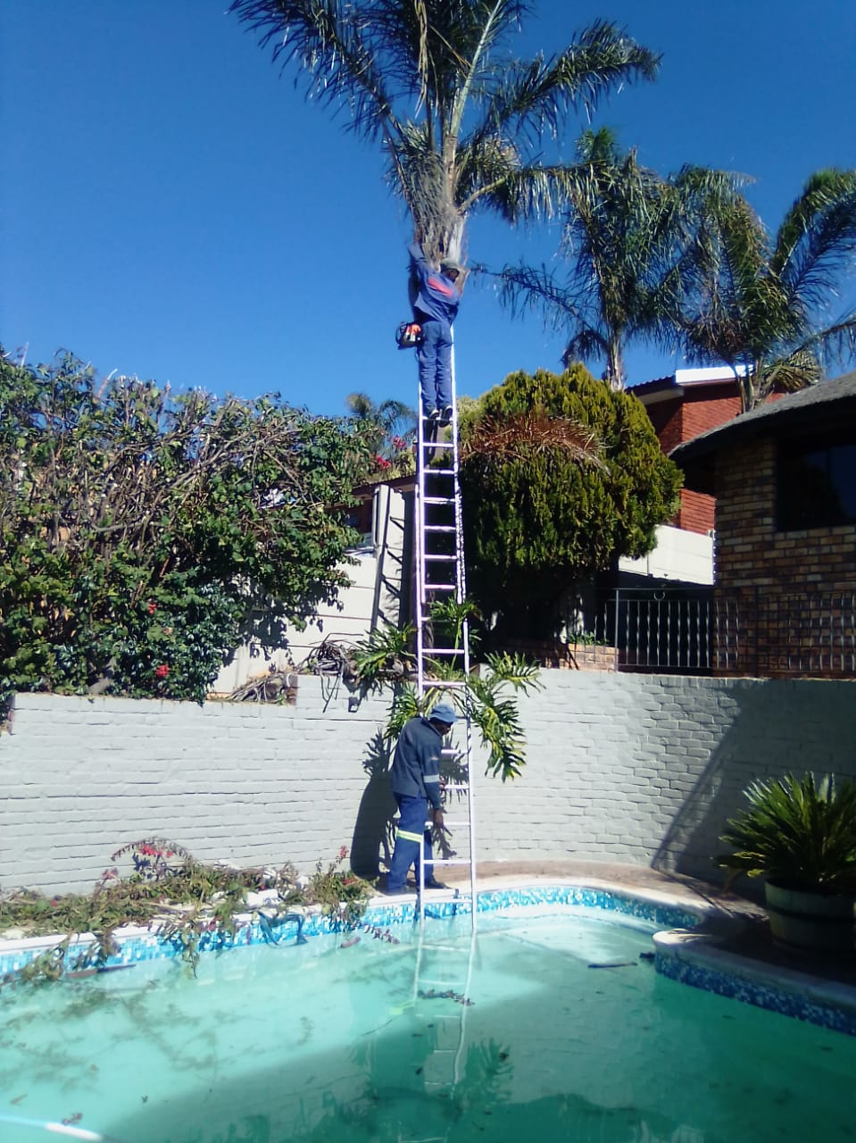 Trimming_0034