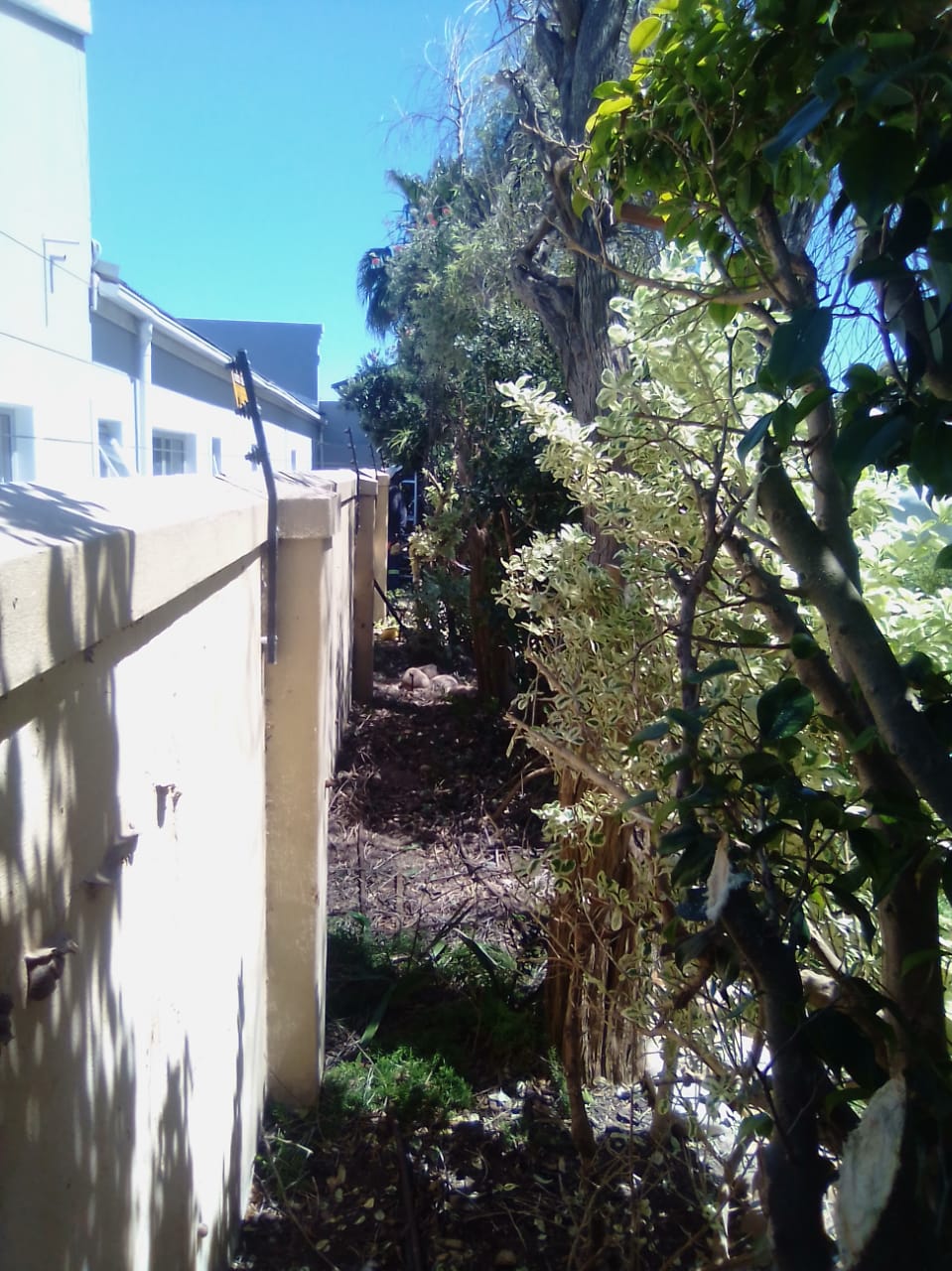 Trimming_0035