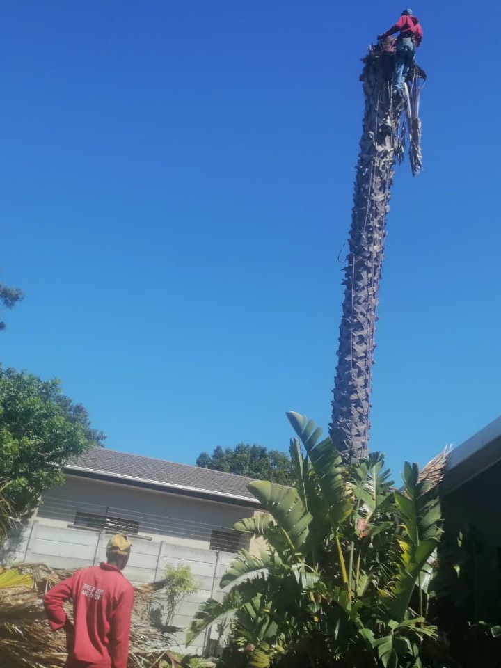 Trimming_0044