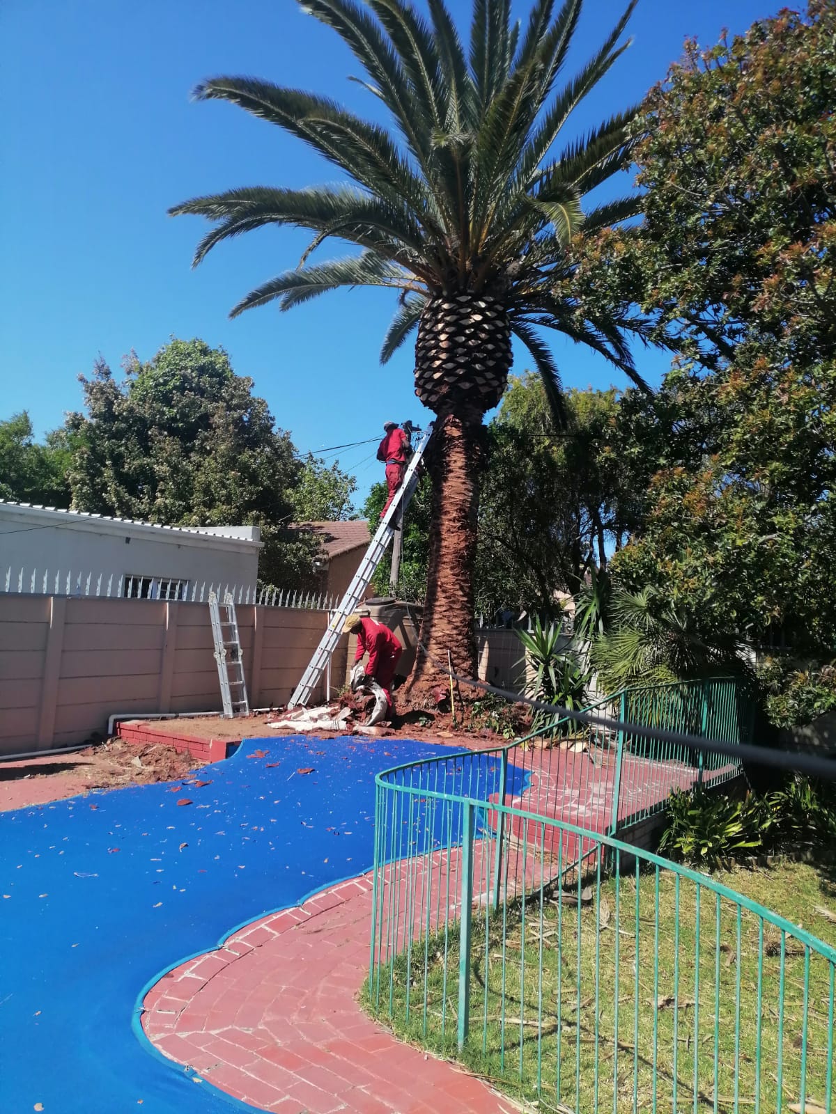 Trimming_0047