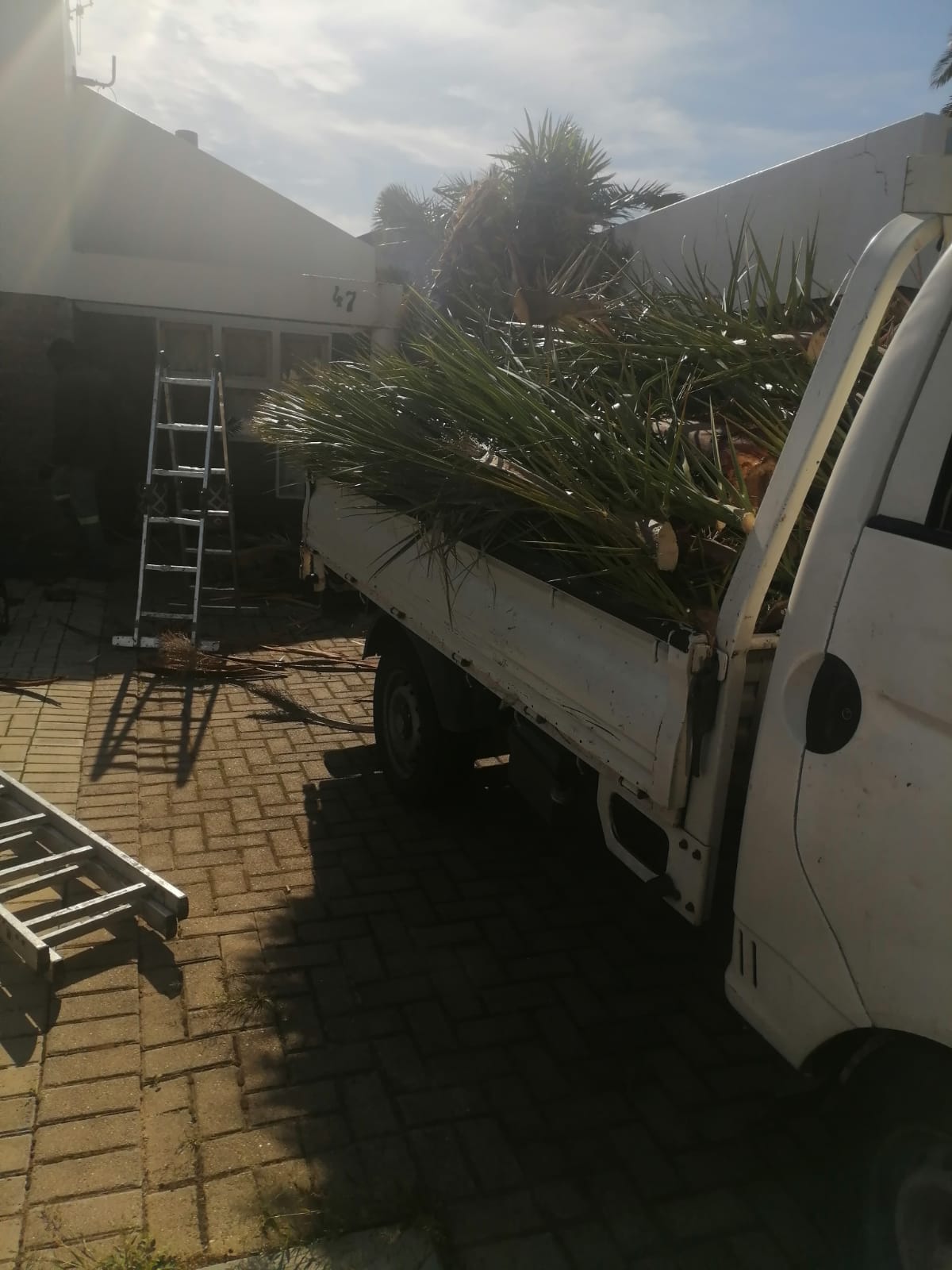 Trimming_0057